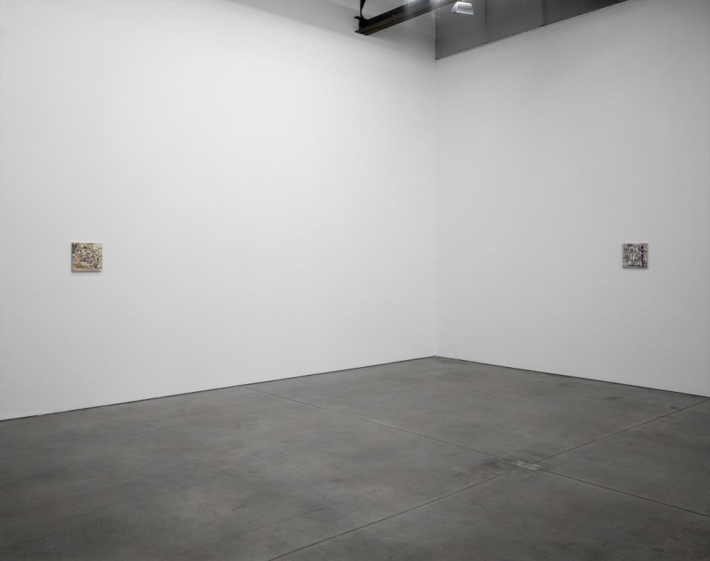William Daniels - Paintings - Exhibitions - Luhring Augustine