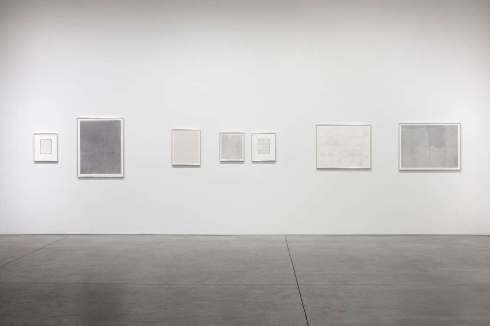 David Musgrave -  - Exhibitions - Luhring Augustine