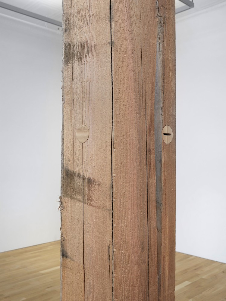 Oscar Tuazon
Cedar (x̌̌páyʔ), 2021
Detail
Western red cedar
144 x 24 x 8 inches
(365.8 x 61&amp;nbsp;x 20.3 cm)