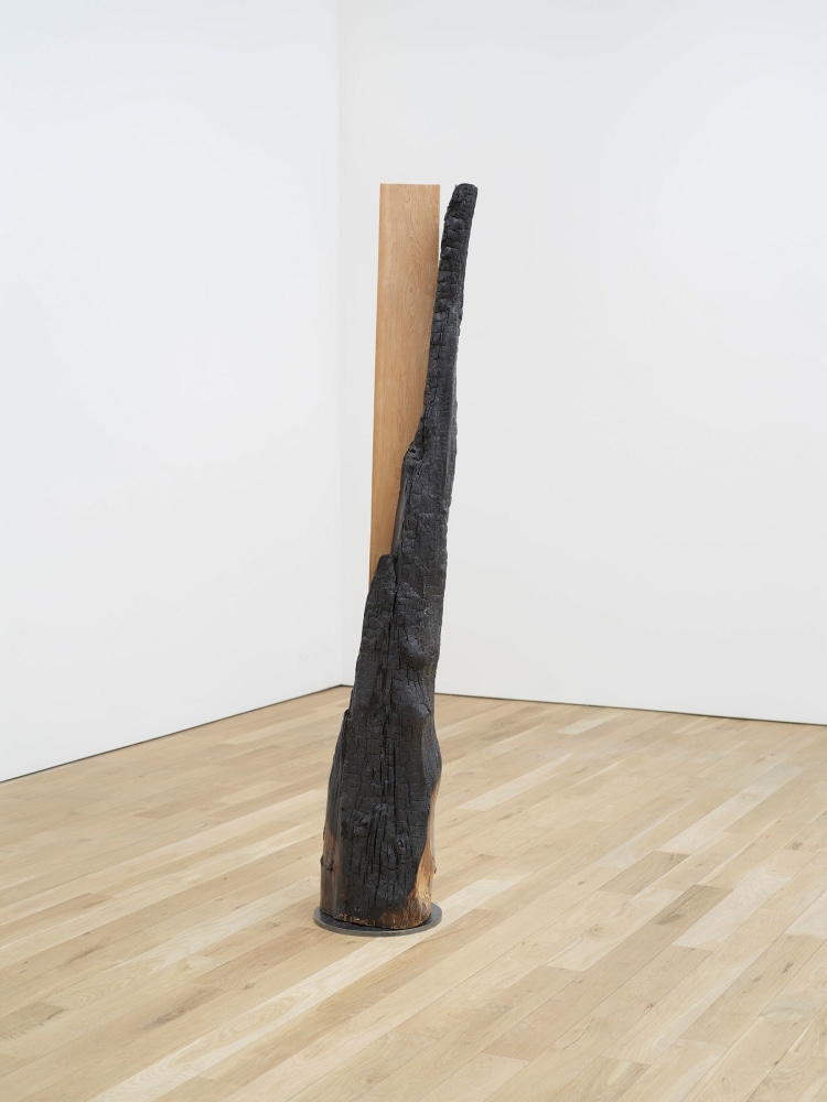 Oscar Tuazon
Oil City (Maple), 2021
Charred wood post with Aqua-Resin
68 x 12 x 12 inches
(172.7 x 30.5 x 30.5 cm)
