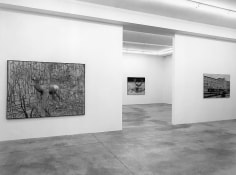 Gerhard Richter Selected Works 1963 &ndash; 1987