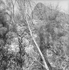 Lee Friedlander Big Bend National Park, Texas, 2007 / Printed 2007