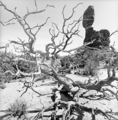 Lee Friedlander Arches National Park, Utah, 2007 / Printed 2007