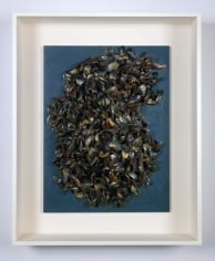 Marcel Broodthaers Moule, 1965