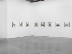 Lee Friedlander Installation view