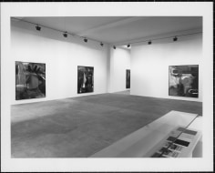 Albert Oehlen, Installation view