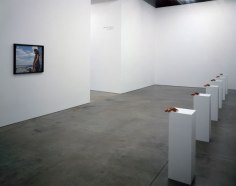 Janine Antoni Up Against