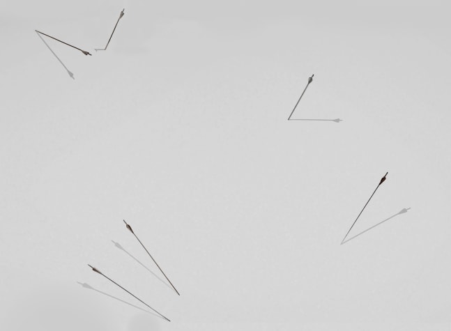 Olivia Erlanger
Eros, 2024
Four polished aluminum arrows
Dimensions variable