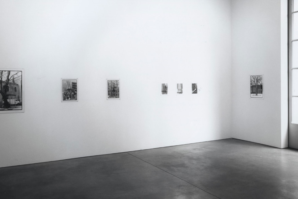 Zoe Leonard and Rudolf Stingel