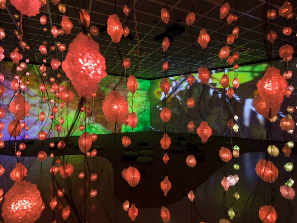 Pipilotti Rist